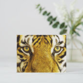 素晴らしいタイガーアイズワイルフ絵画ィーズ ポストカード (スタンド正面)