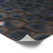 素晴らしいタートルポスター！ ポスター (角)