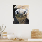 素晴らしいタートルポスター！ ポスター (キッチン)