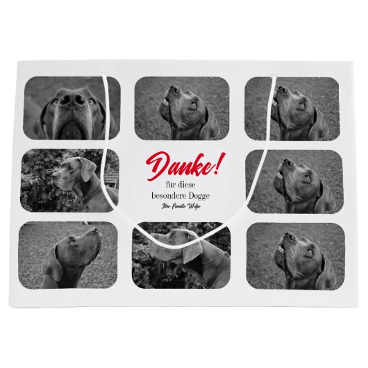 素晴らしいダン写真を所有 ラージペーパーバッグ (正面)