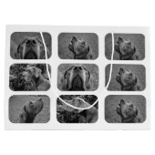 素晴らしいダン写真を所有 ラージペーパーバッグ (裏面)