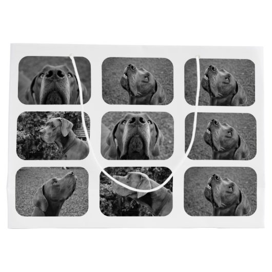 素晴らしいダン写真を所有 ラージペーパーバッグ (裏面)