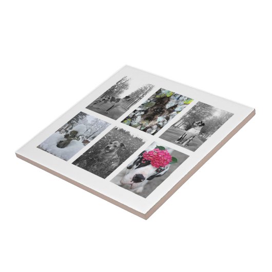 素晴らしいダン化 タイル (側面)