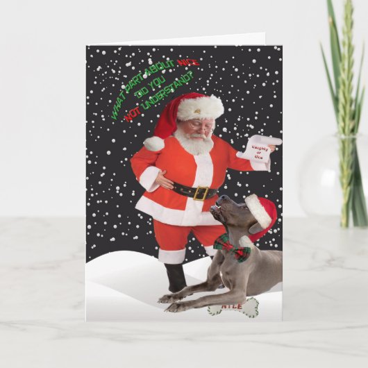 素晴らしいデーンは素晴らしいカードを理解しなかった シーズンカード (正面)