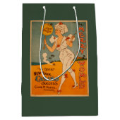 素晴らしいニューヨークのカジノの成功の劇場 ミディアムペーパーバッグ (正面)