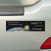 素晴らしいバンパーステッカー バンパーステッカー (車上)