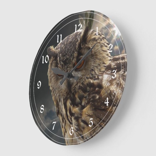 素晴らしいフクロウの写真撮影シリーズ ラージ壁時計 (傾斜)