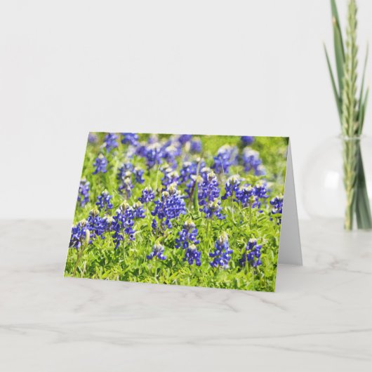 素晴らしいブルーボンネット聖なる書物、 経典カード詩編72:18 カード (正面)