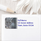 素晴らしいボブキャット ラベル (インサイチュ)