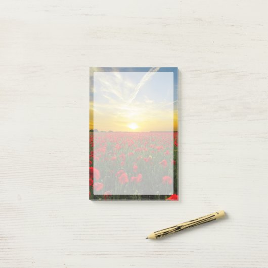 素晴らしいポピー畑の夕日の地平線 ポストイット (デスク上)