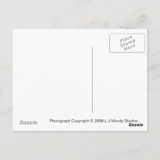 素晴らしいラスベガスからこんにちは！ ポストカード (裏面)