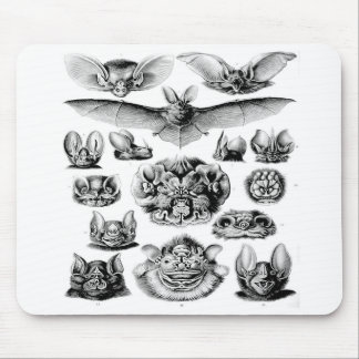 素晴らしいヴィンテージのこうもりのマウスパッド マウスパッド