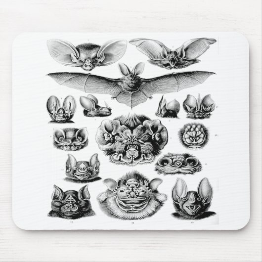 素晴らしいヴィンテージのこうもりのマウスパッド マウスパッド (正面)