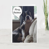 素晴らしい一年**聖降誕祭お目出とう» シーズンカード (正面)