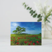 素晴らしい世界 ポストカード (スタンド正面)