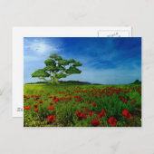 素晴らしい世界 ポストカード (正面/裏面)