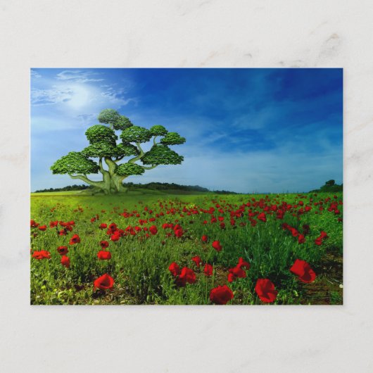 素晴らしい世界 ポストカード (正面)