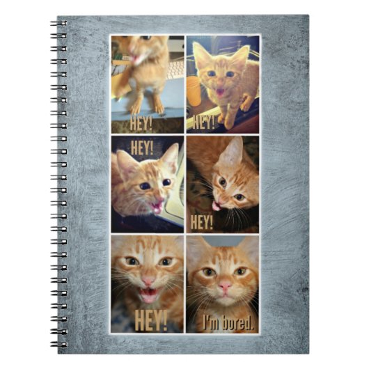 素晴らしい事のための螺線形ノート ノートブック (正面)