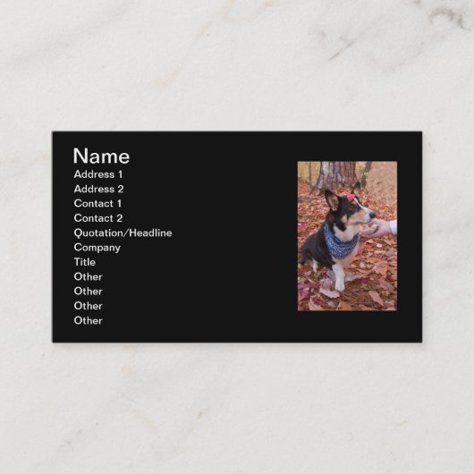 素晴らしい会うこと! 名刺 (正面)