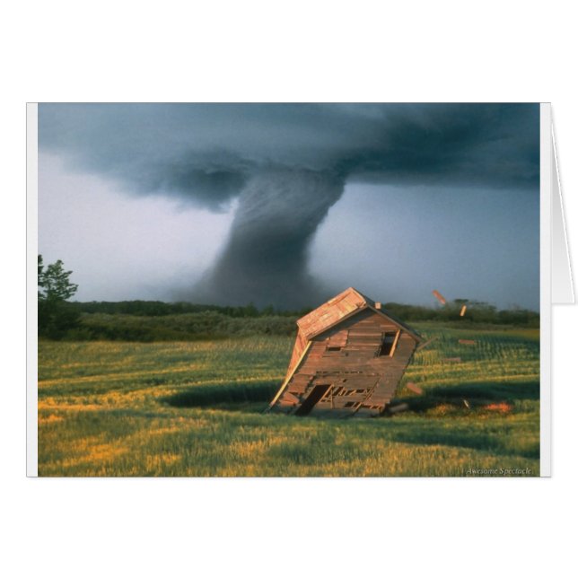 素晴らしい光景 (正面横)