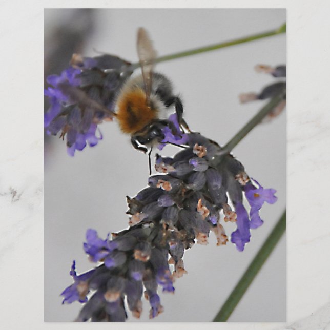 素晴らしい労働者を体現する (正面)