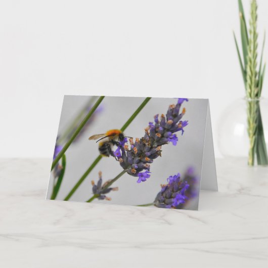 素晴らしい労働者を体現する カード (正面)