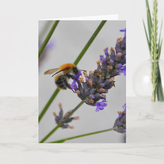 素晴らしい労働者を体現する カード (正面)