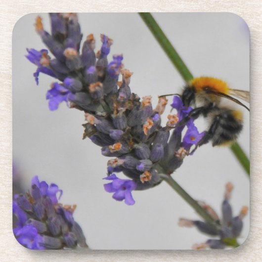 素晴らしい労働者を体現する コースター (正面)