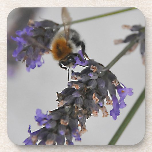 素晴らしい労働者を体現する コースター (正面)