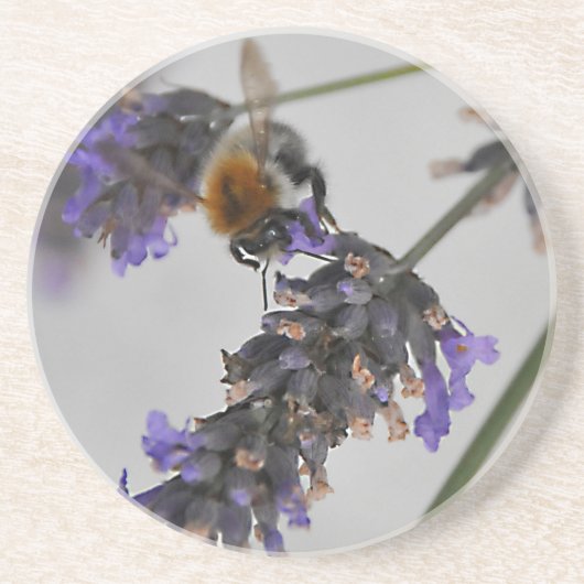 素晴らしい労働者を体現する コースター (正面)