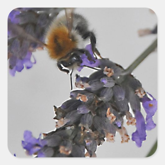 素晴らしい労働者を体現する スクエアシール (正面)