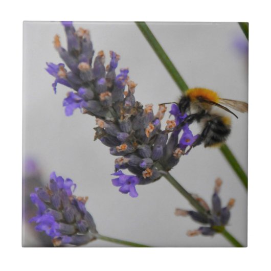 素晴らしい労働者を体現する タイル (正面)