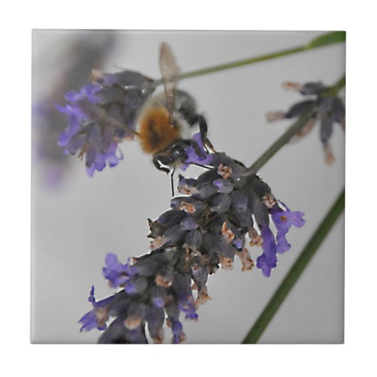 素晴らしい労働者を体現する タイル (正面)