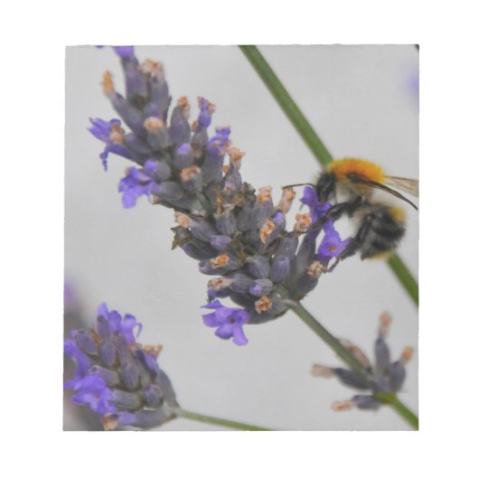 素晴らしい労働者を体現する ノートパッド (正面)