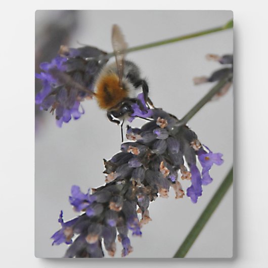 素晴らしい労働者を体現する フォトプラーク (正面)