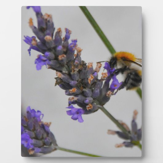 素晴らしい労働者を体現する フォトプラーク (正面)