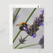 素晴らしい労働者を体現する ポストカード (正面/裏面)