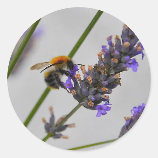 素晴らしい労働者を体現する ラウンドシール (正面)