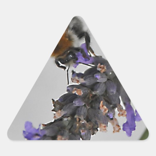 素晴らしい労働者を体現する 三角形シール (正面)