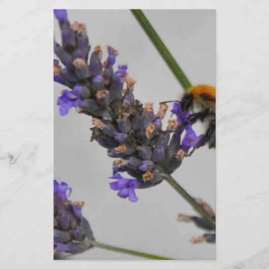 素晴らしい労働者を体現する 便箋 (正面)