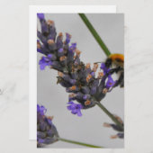 素晴らしい労働者を体現する 便箋 (正面/裏面)