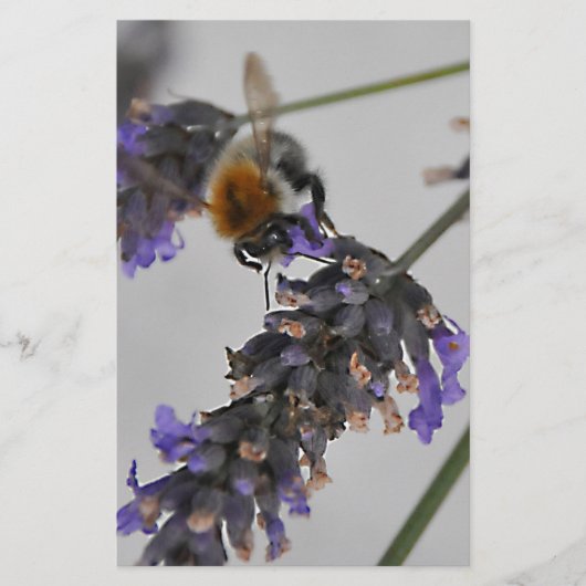 素晴らしい労働者を体現する 便箋 (正面)