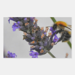 素晴らしい労働者を体現する 長方形シール