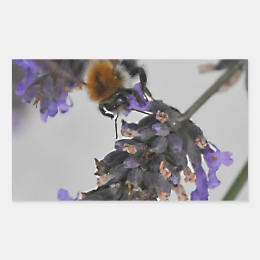 素晴らしい労働者を体現する 長方形シール (正面)