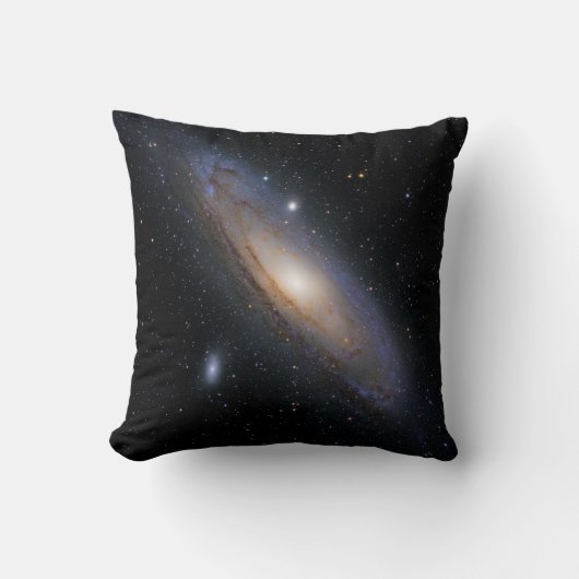 素晴らしい宇宙 クッション (正面)