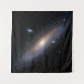 素晴らしい宇宙 タペストリー (正面(横))