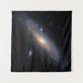 素晴らしい宇宙 タペストリー (正面)