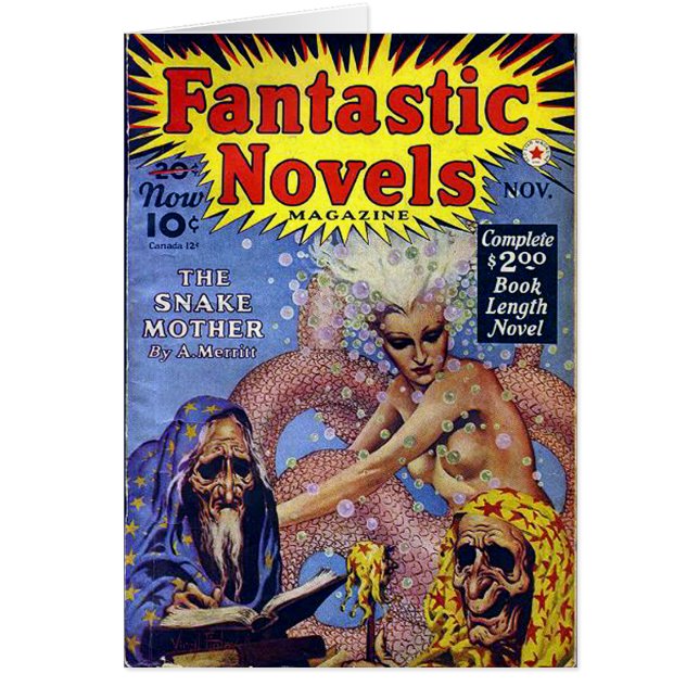 素晴らしい小説2 (正面)