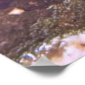 素晴らしい後戻り ポスター (角)