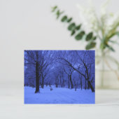 素晴らしい散歩 ポストカード (スタンド正面)